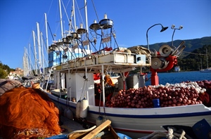Ile de Poros - Grèce