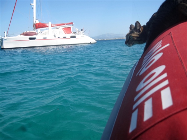 Ile de Paros les Cyclades Grèce