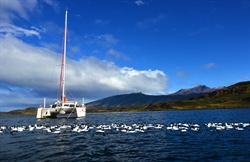 Puerto Natales - Canaux de Patagonie